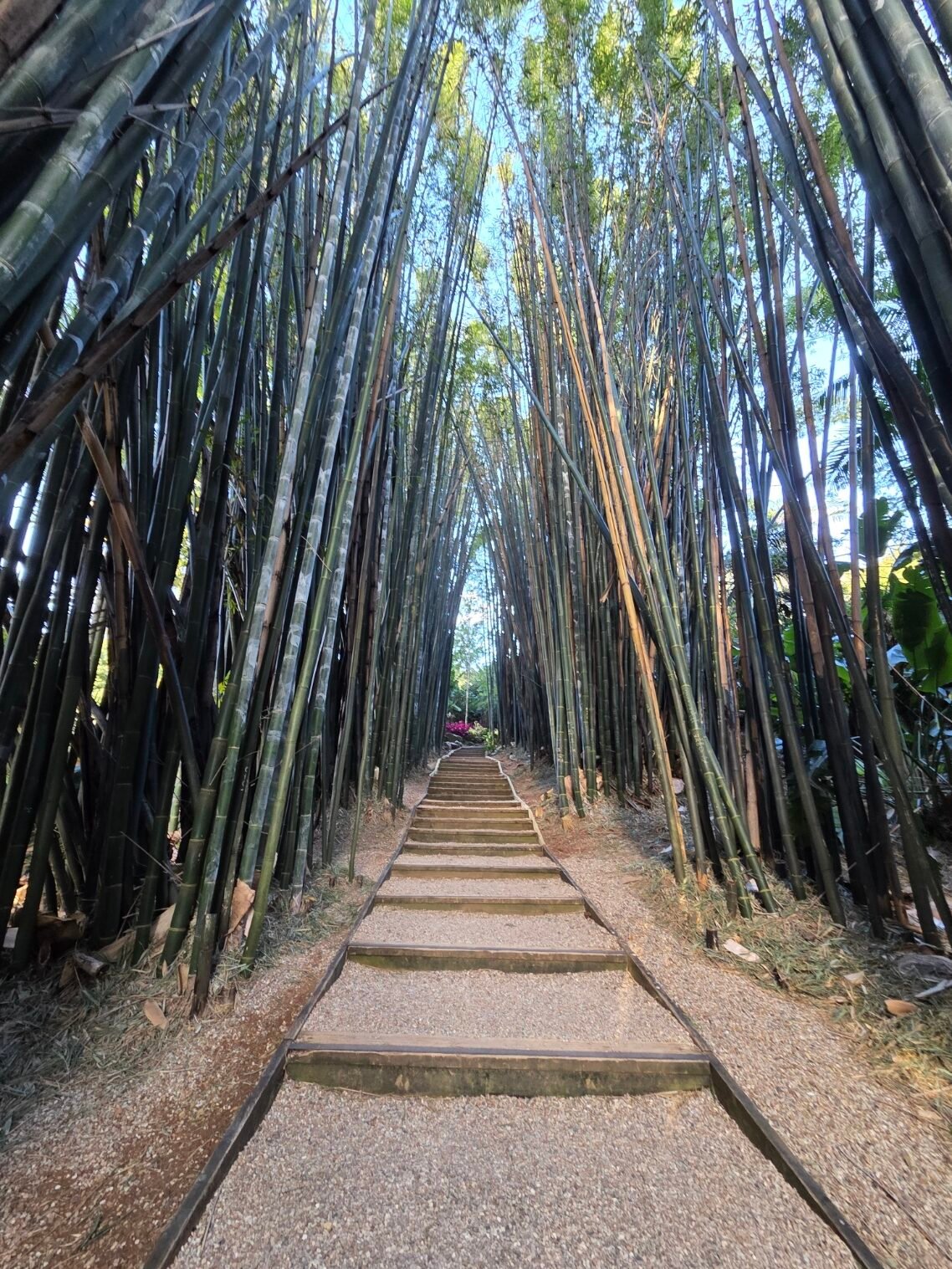 Lesson 155: I will step back and let him lead the way